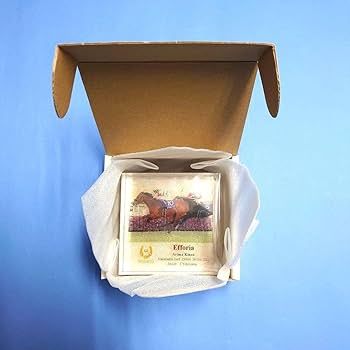 Amazon.co.jp: アクリルオブジェ エフフォーリア ウマ娘 競馬 Amazon.co.jp: アクリルオブジェ エフフォーリア ウマ娘 競馬